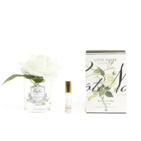 Cote Noire Perfumed Natural Touch Single French Rose - Ivory White