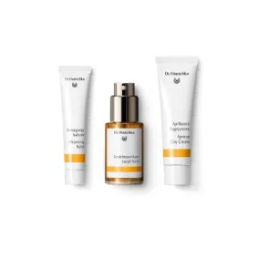 Dr Hauschka Gift Set Brightening Skincare Concept